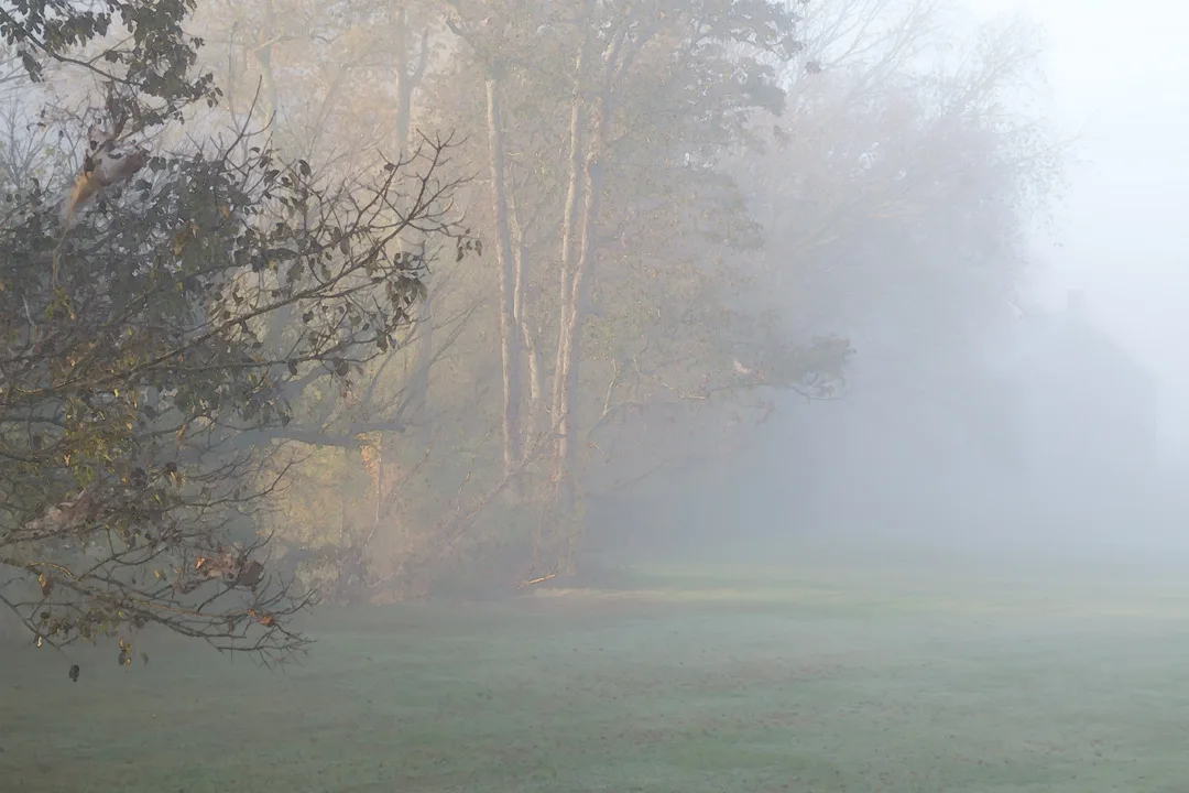 Fog Sloan Oct 18