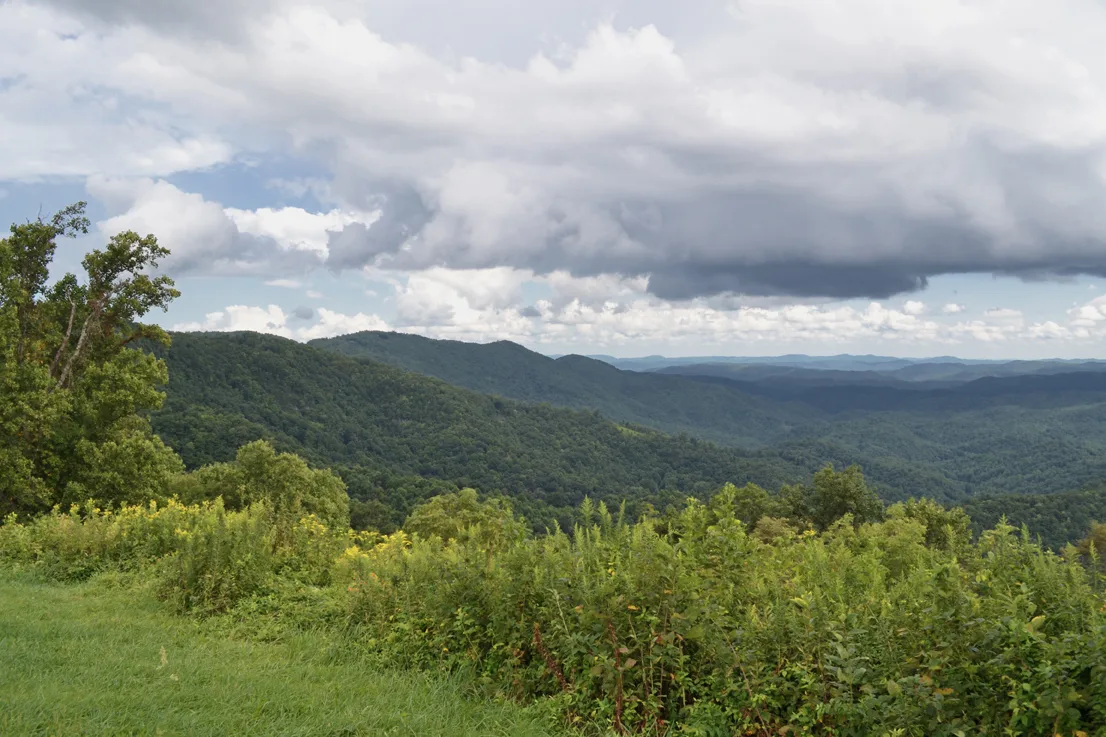 Grandview 1