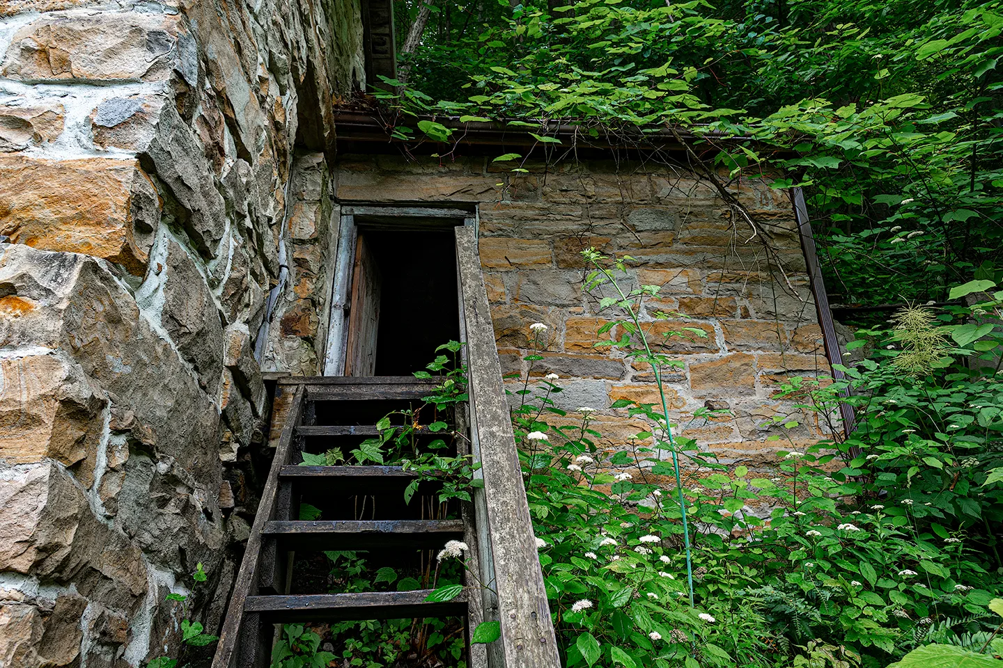 Kaymoor 5