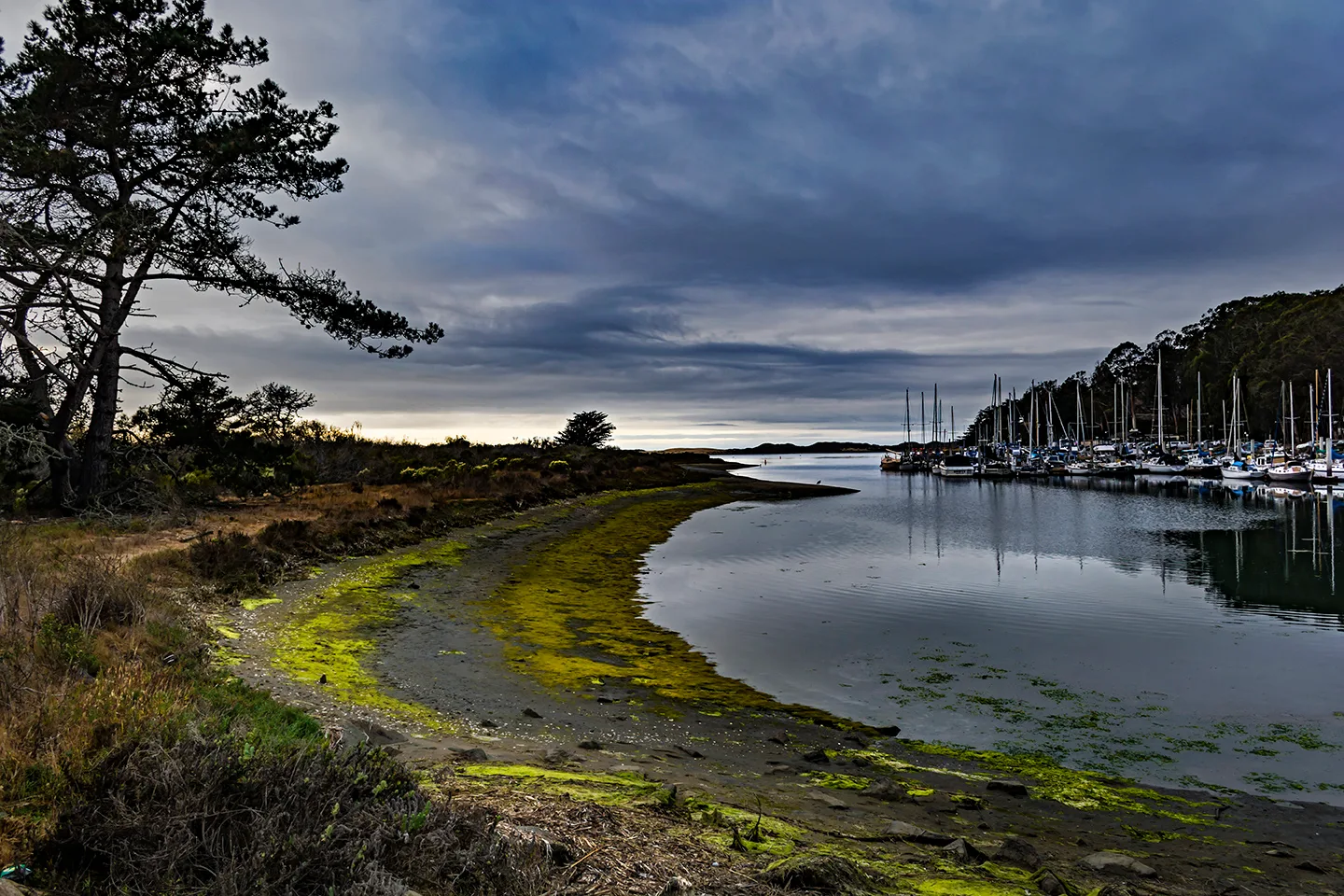 Morrobay 2