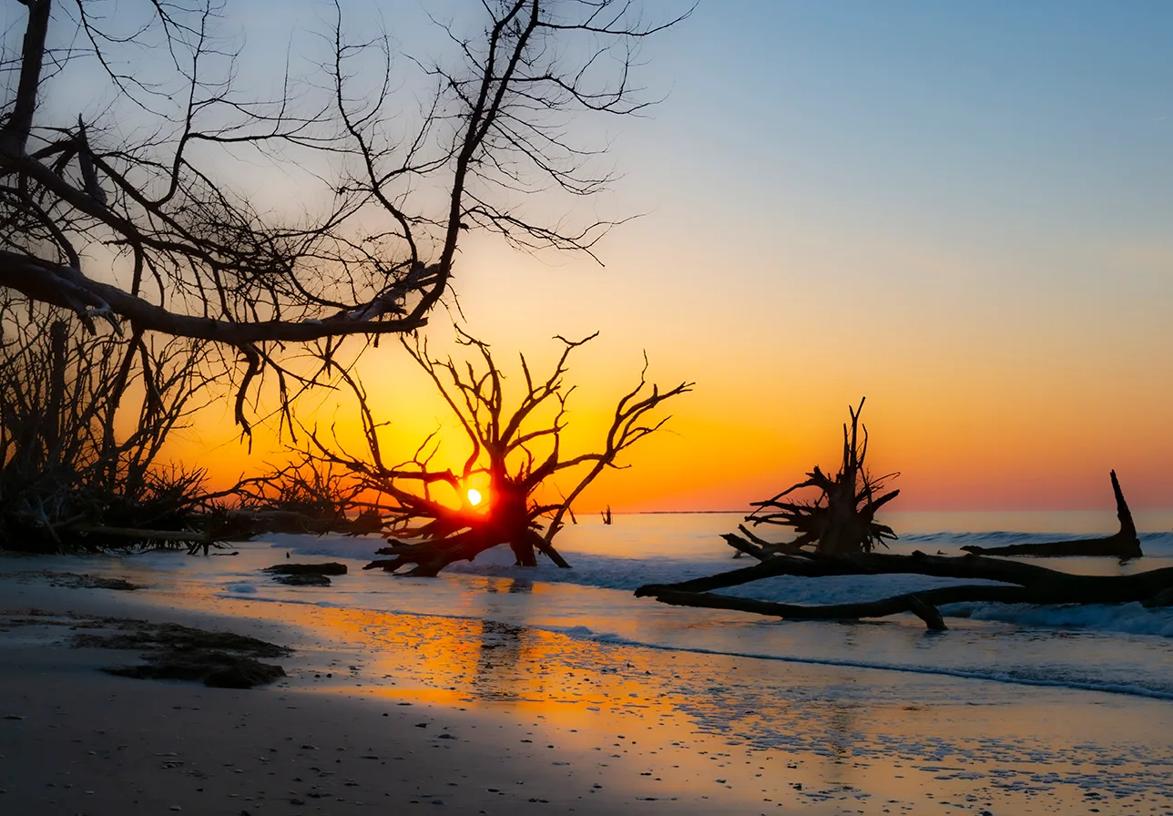 Edistosunrise 42