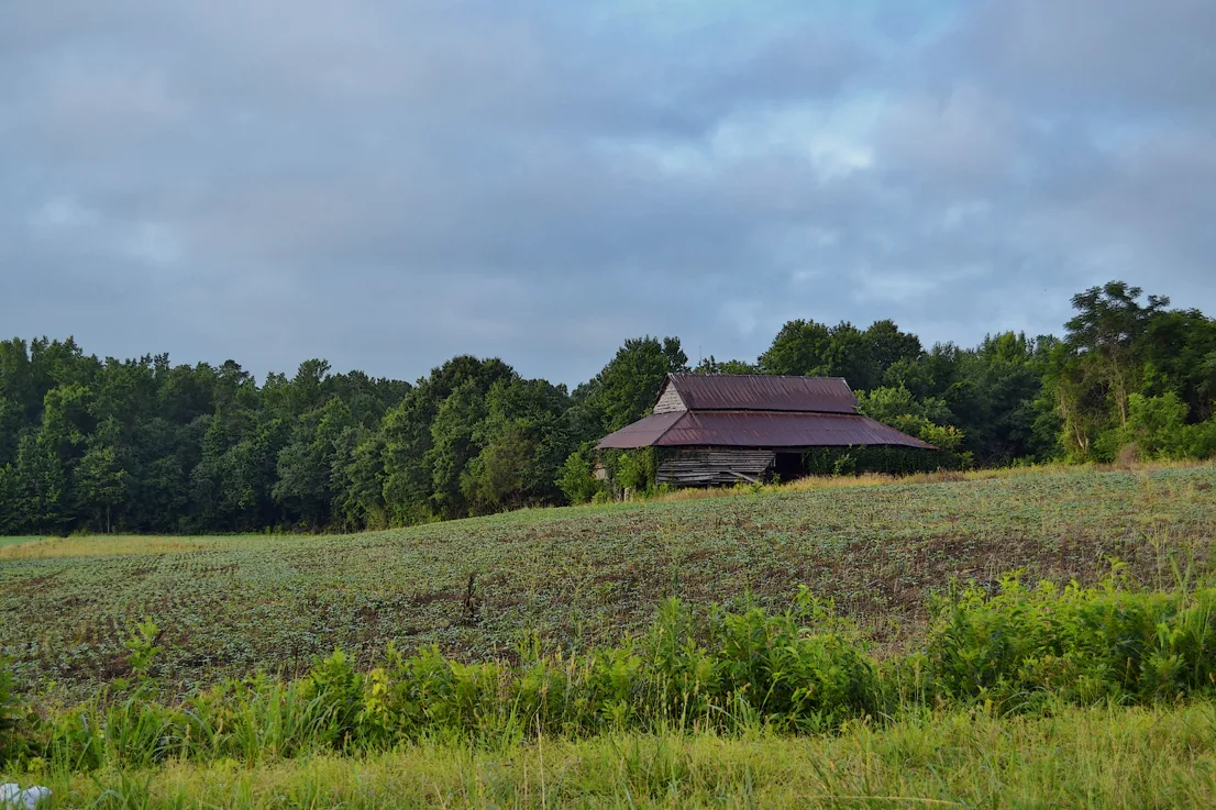East Rowan