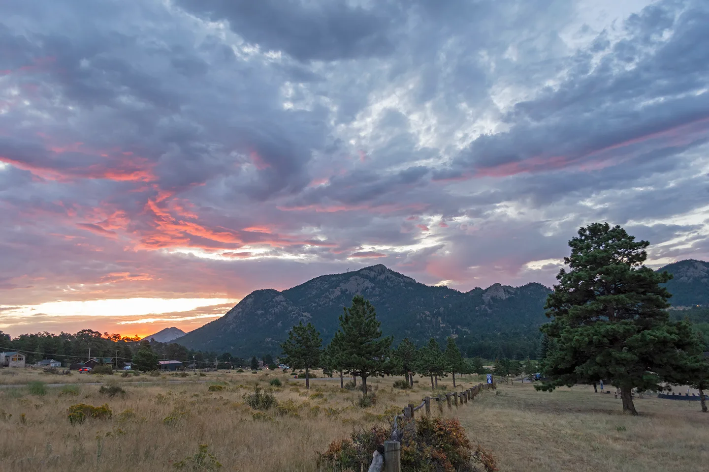 Estes 8
