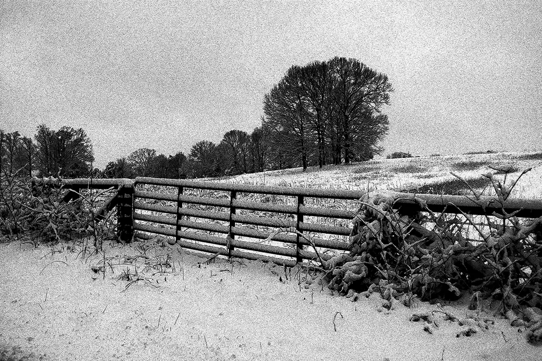 Snow 2015 Gate