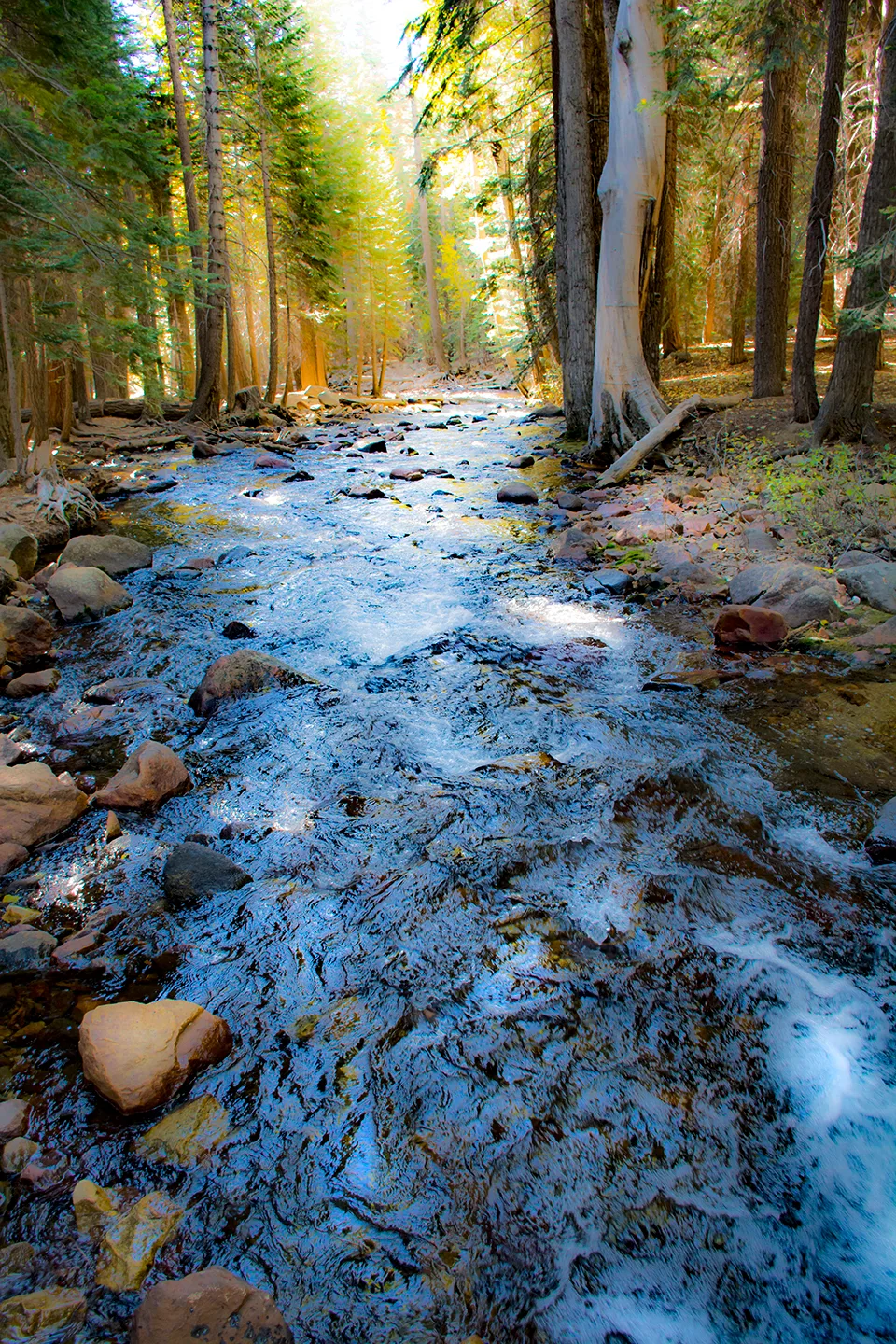 Yosemite 13
