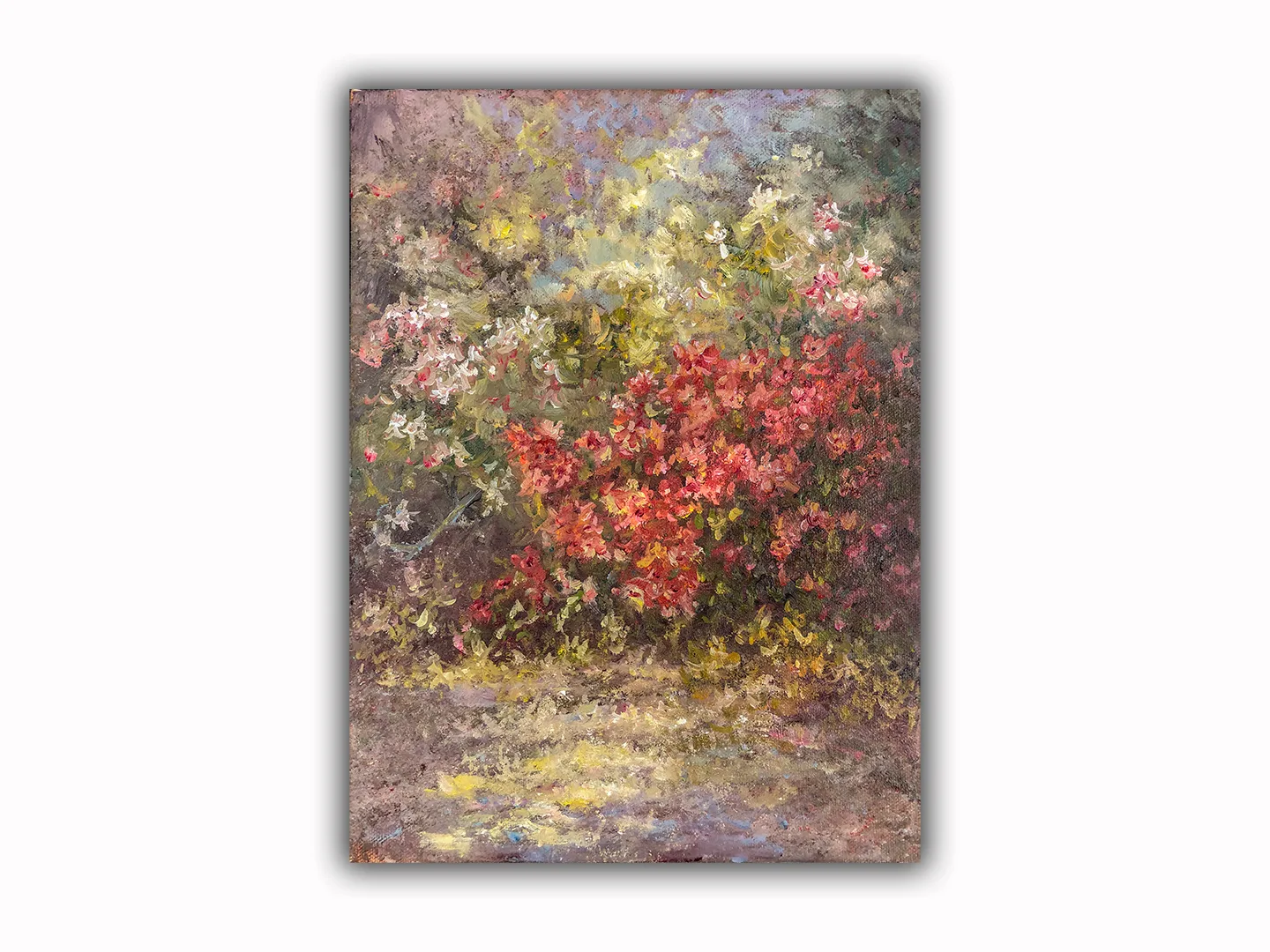 Azaleas 2