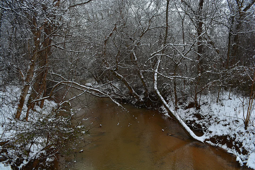 Snow 2015 White Rd