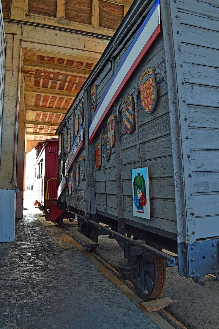 Train 29