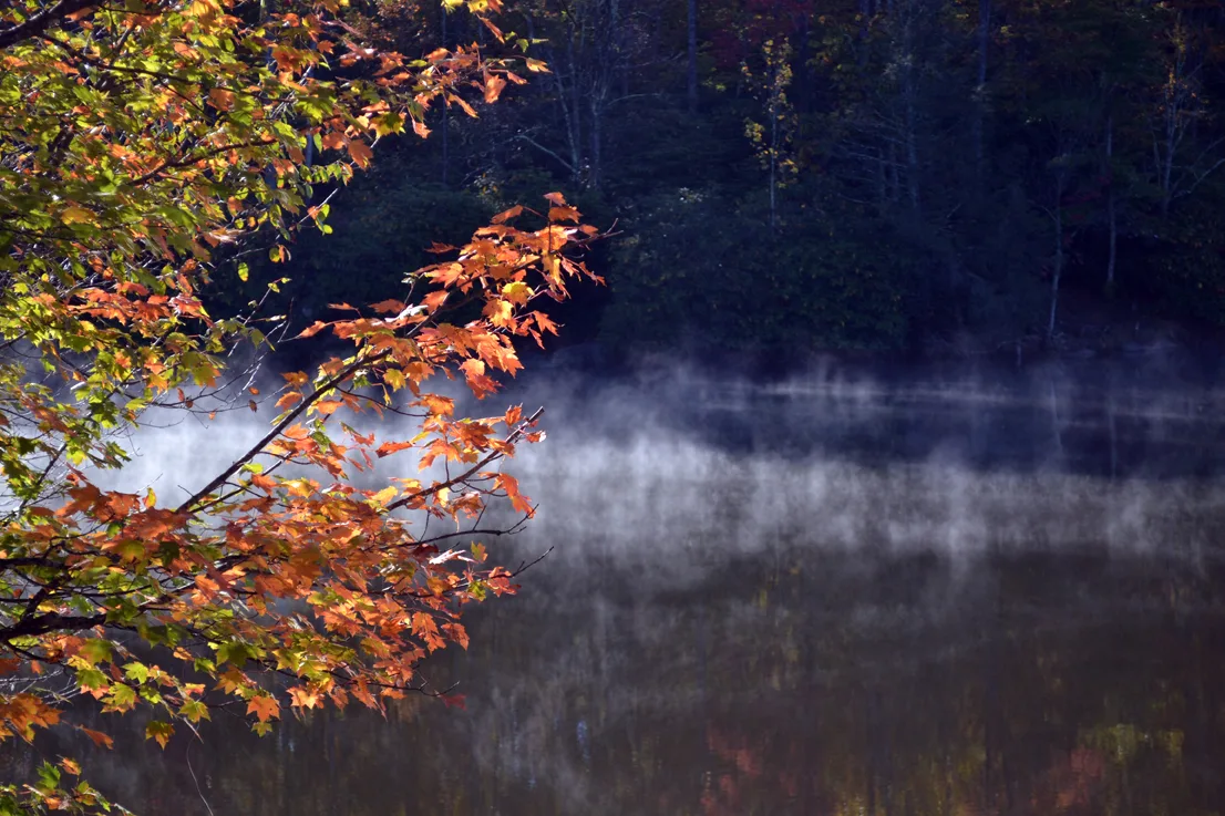 Lake-Fall 8