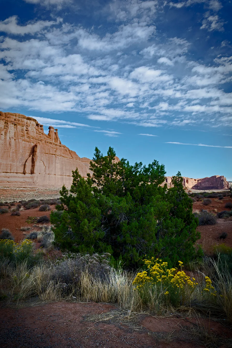 Arches 15