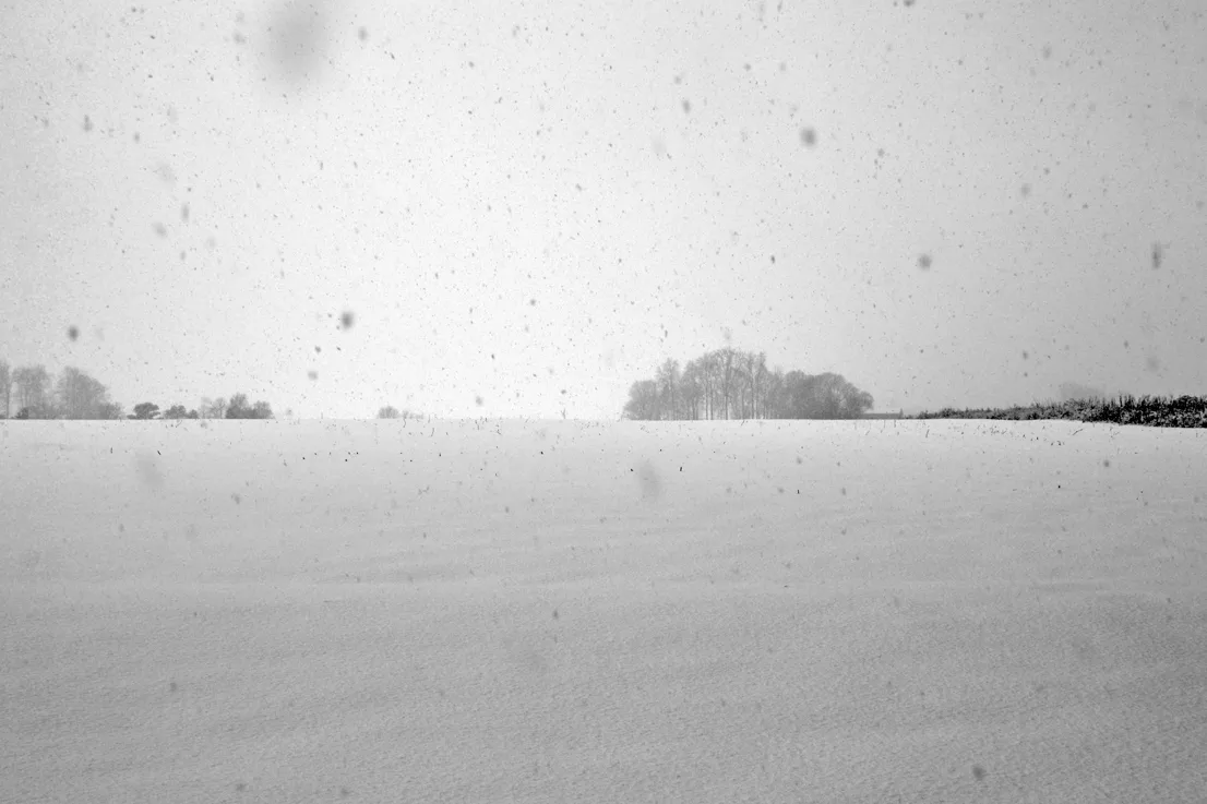 Yard Snow 17