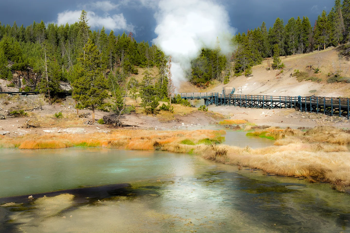 Yellowstone 52