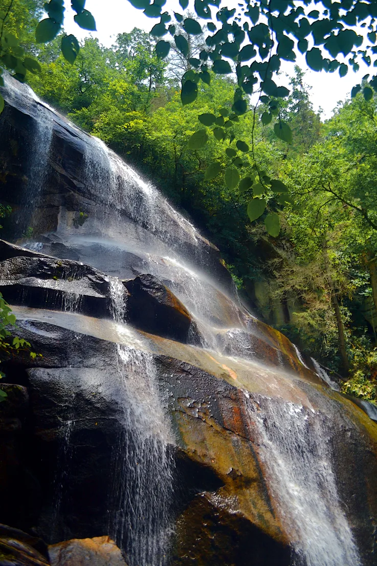Waterfall 3 Pisgah