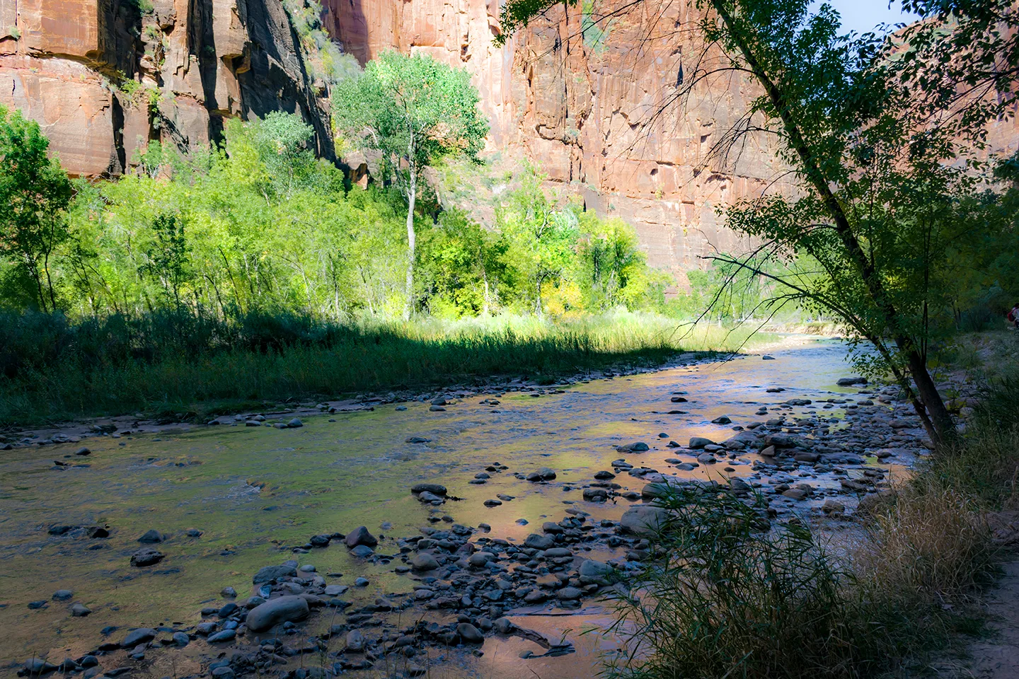 Zion 37