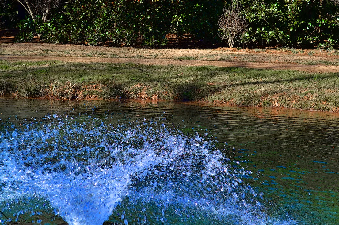 Fountain 5