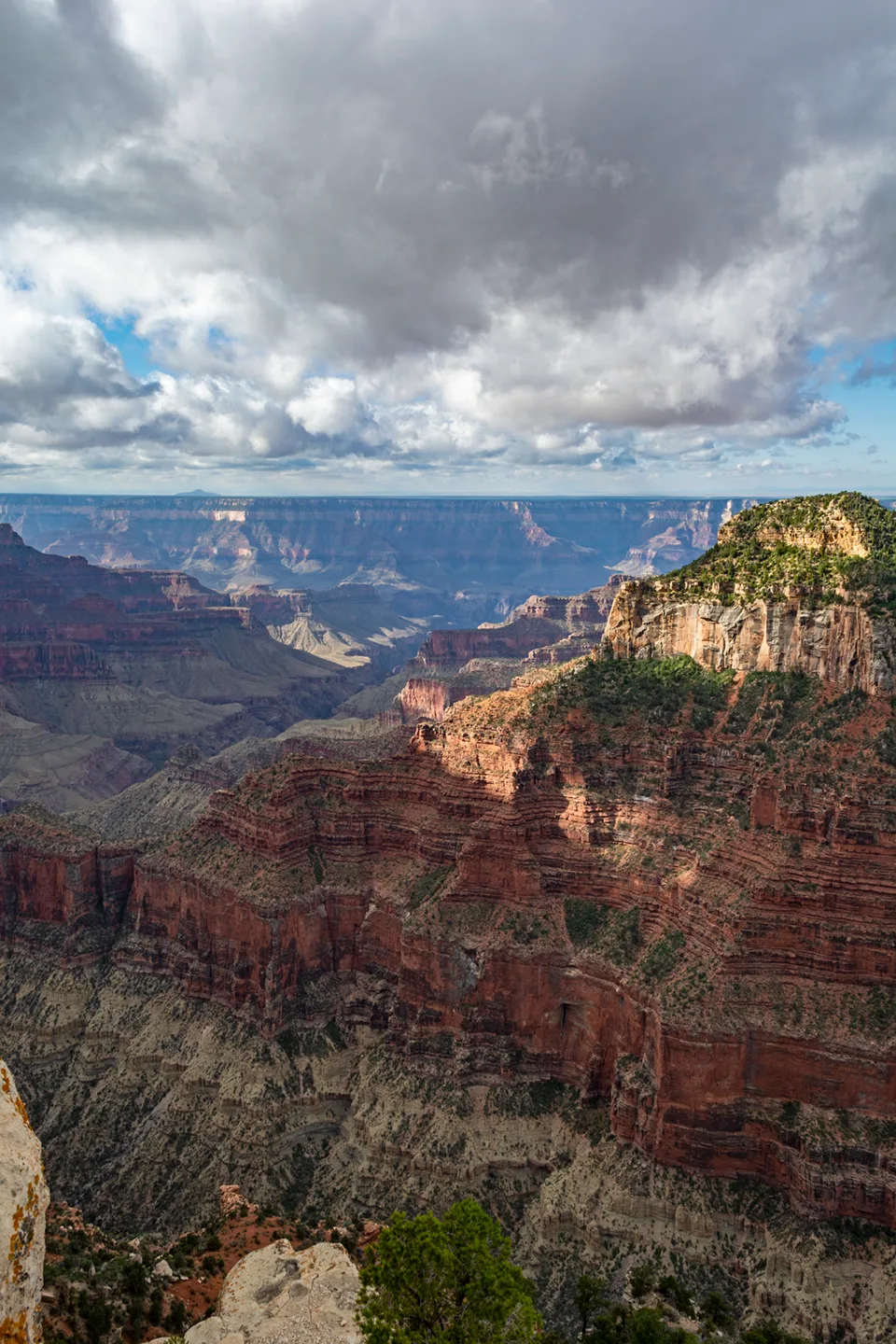 Northrim 16