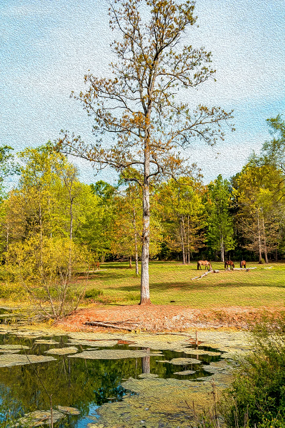 Chandelle 10