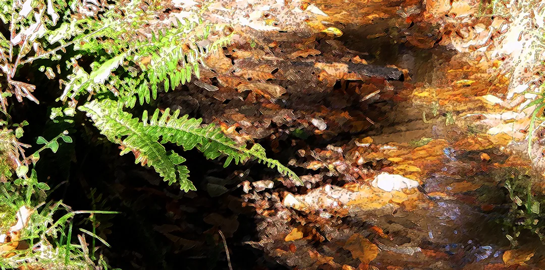 Old Creek