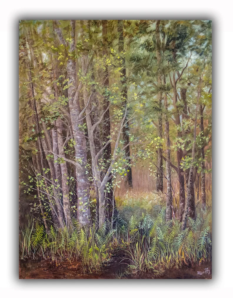 Homestead Woods