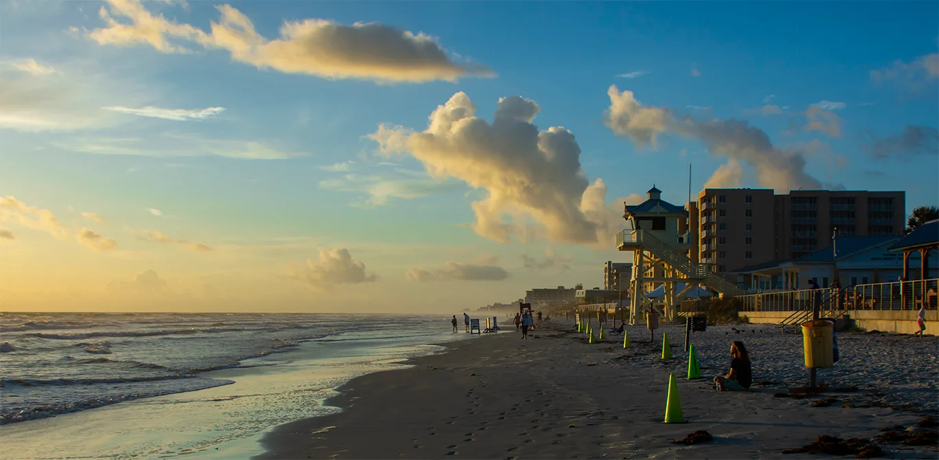 Nsb 19