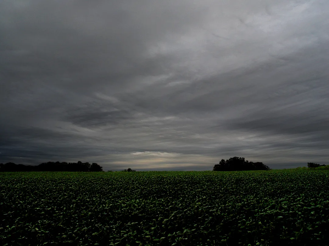 Landscape 1 A