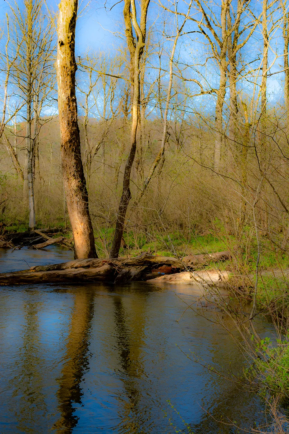 Cadescove 7