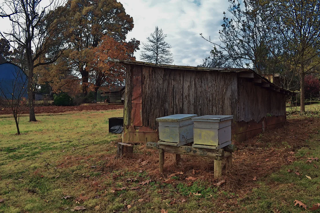 Beehives