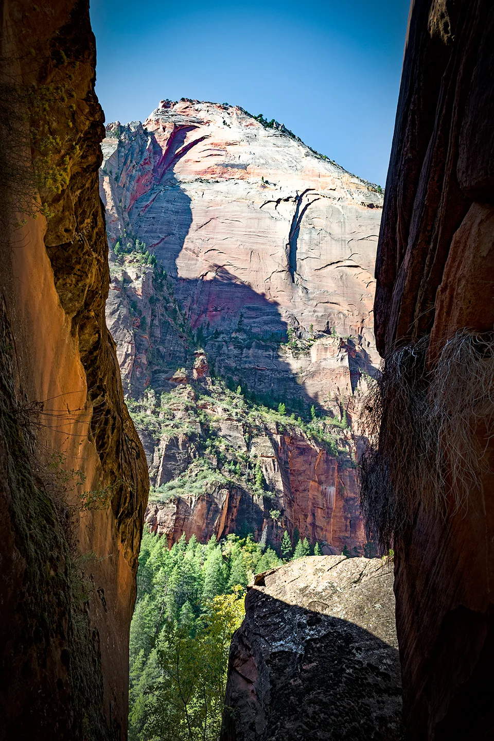 Zion 17
