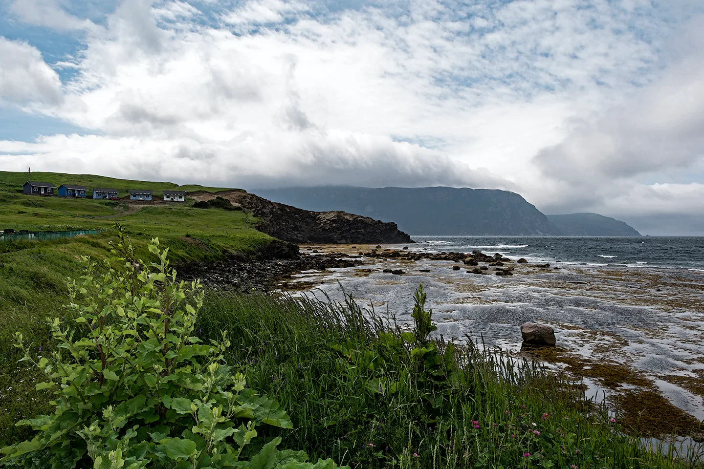 Rockyharbor 8