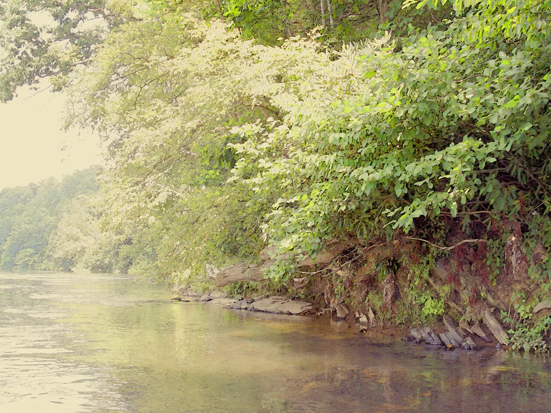 New River