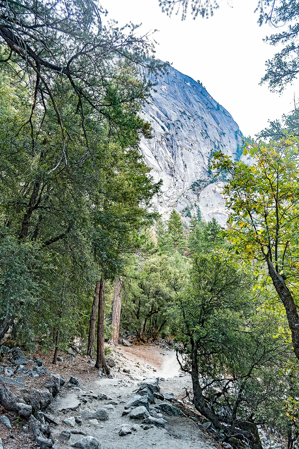 Yosemite 65