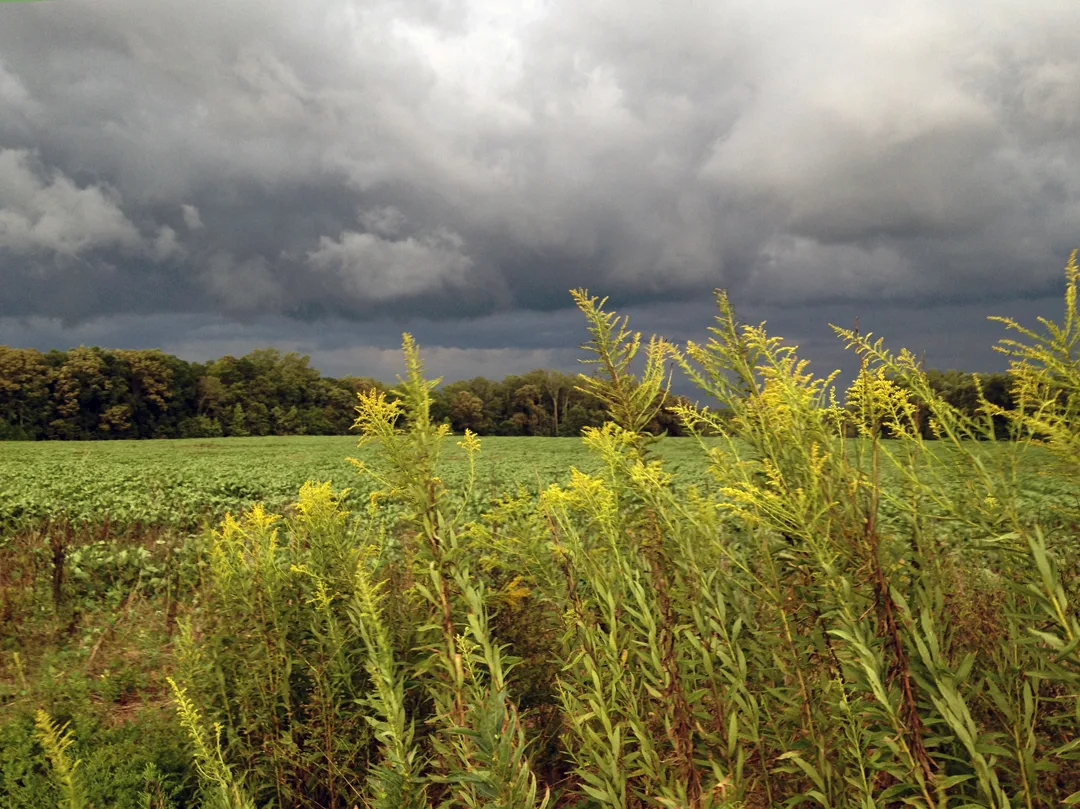 Storm Front 2