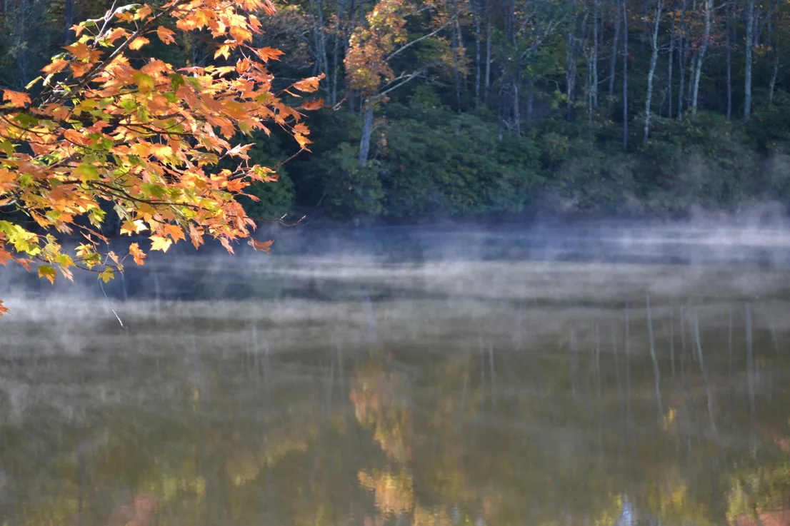 Lake-Fall 7