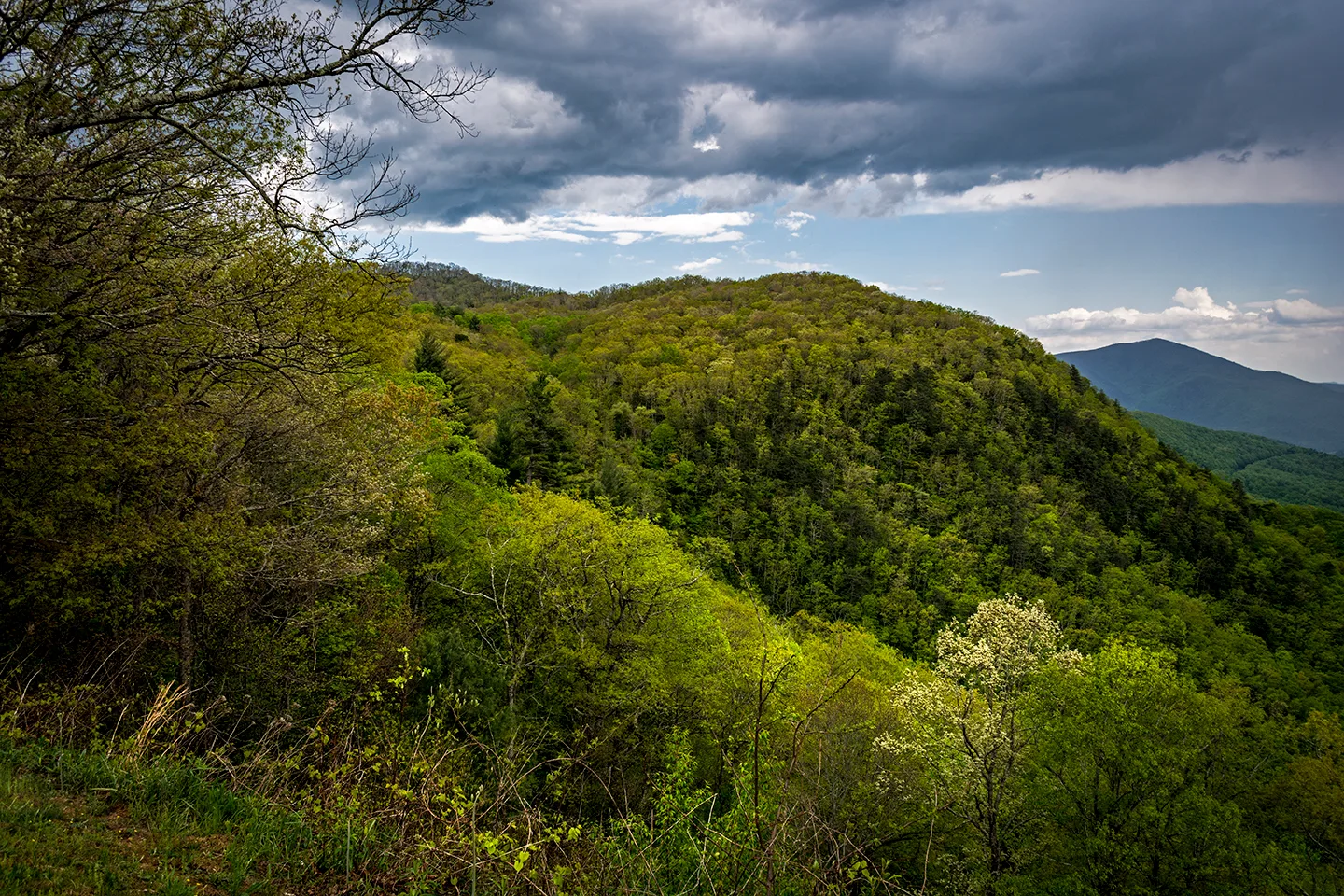 Blue Ridge 3