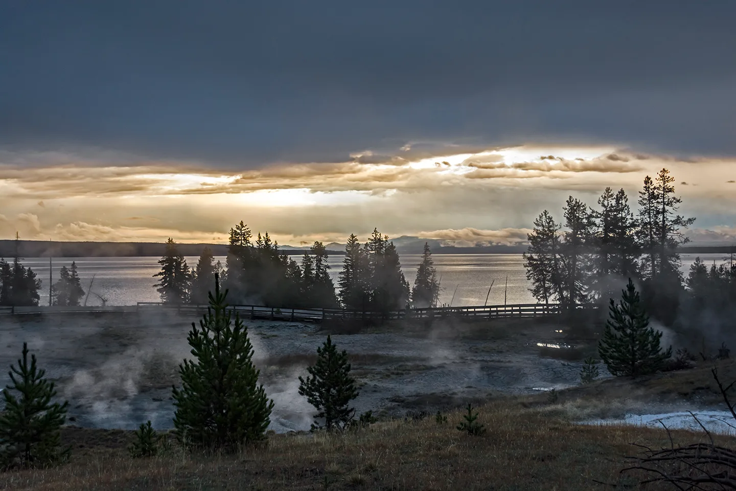 Yellowstone 21