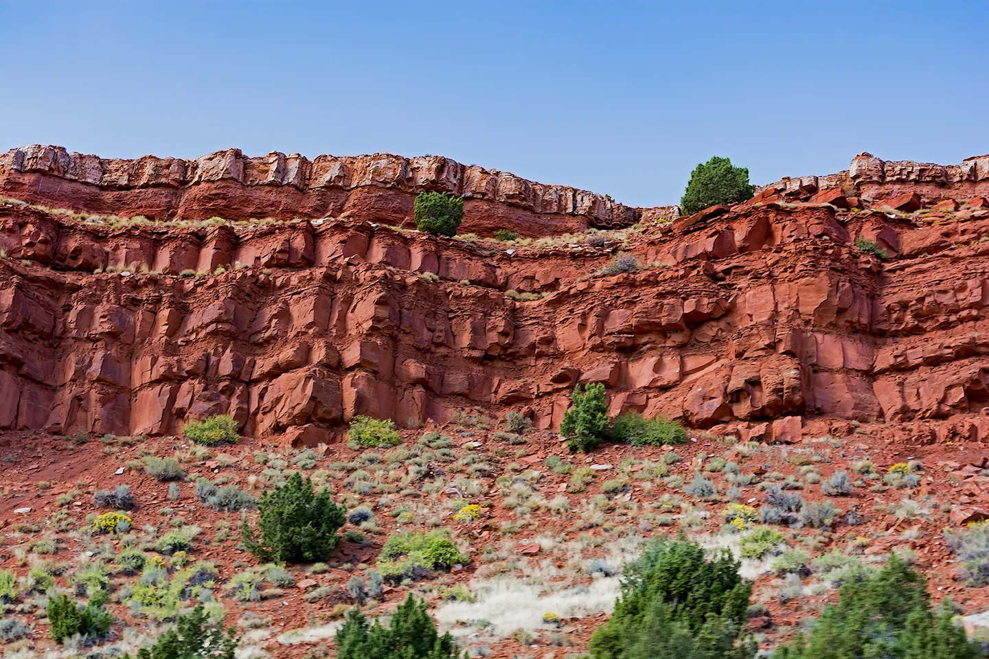 Wyoming 10