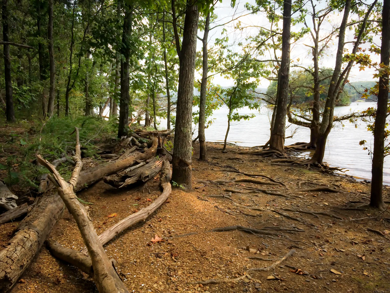Eaglepoint 4