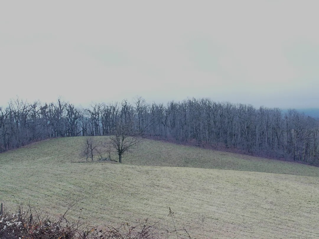 Blueridge 2 Field