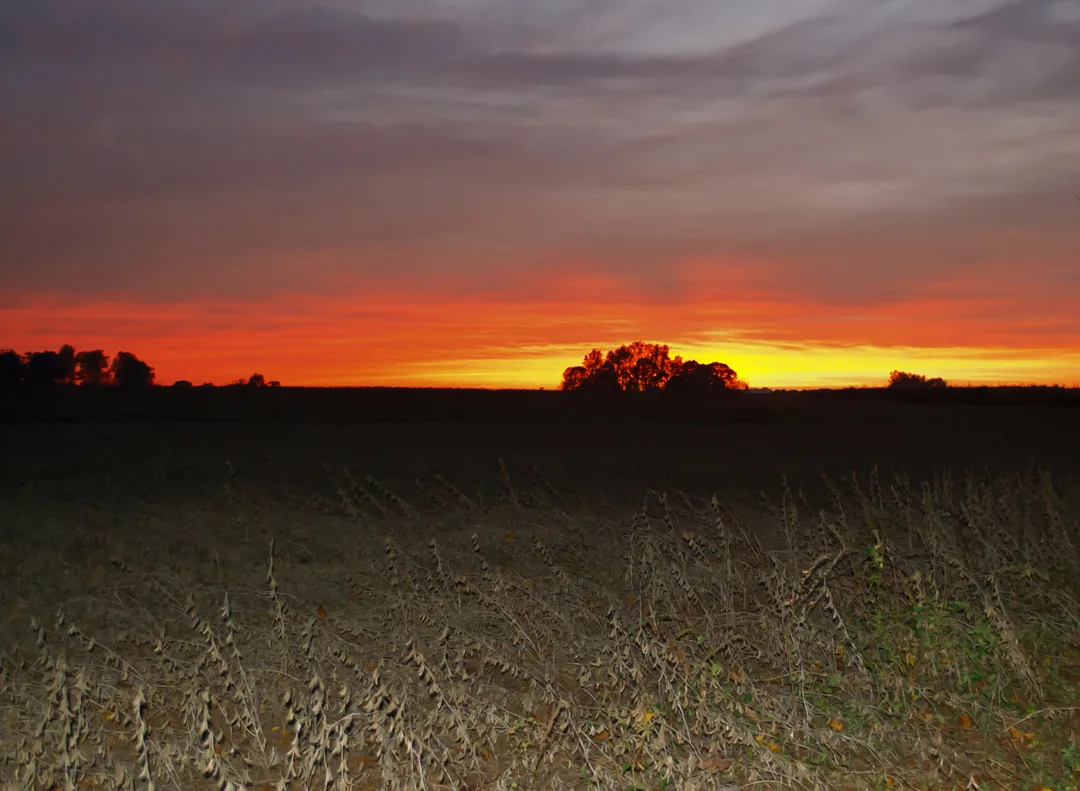 Sunset Oct 26-2