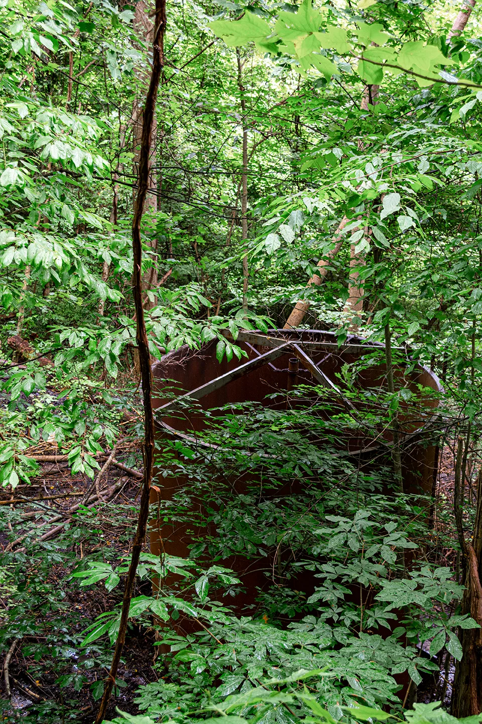 Kaymoor 7