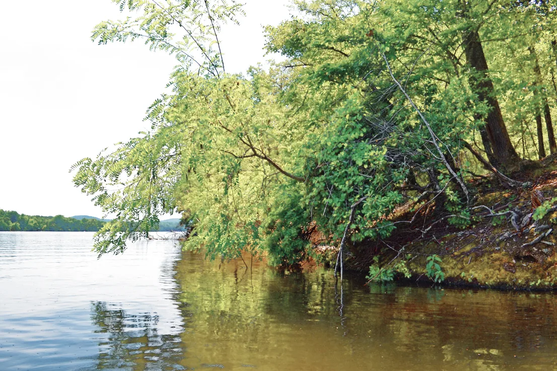 Yadkin-Peedee 32