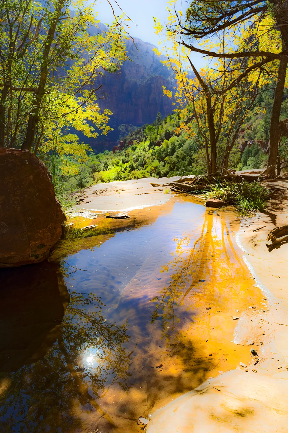 Zion 19