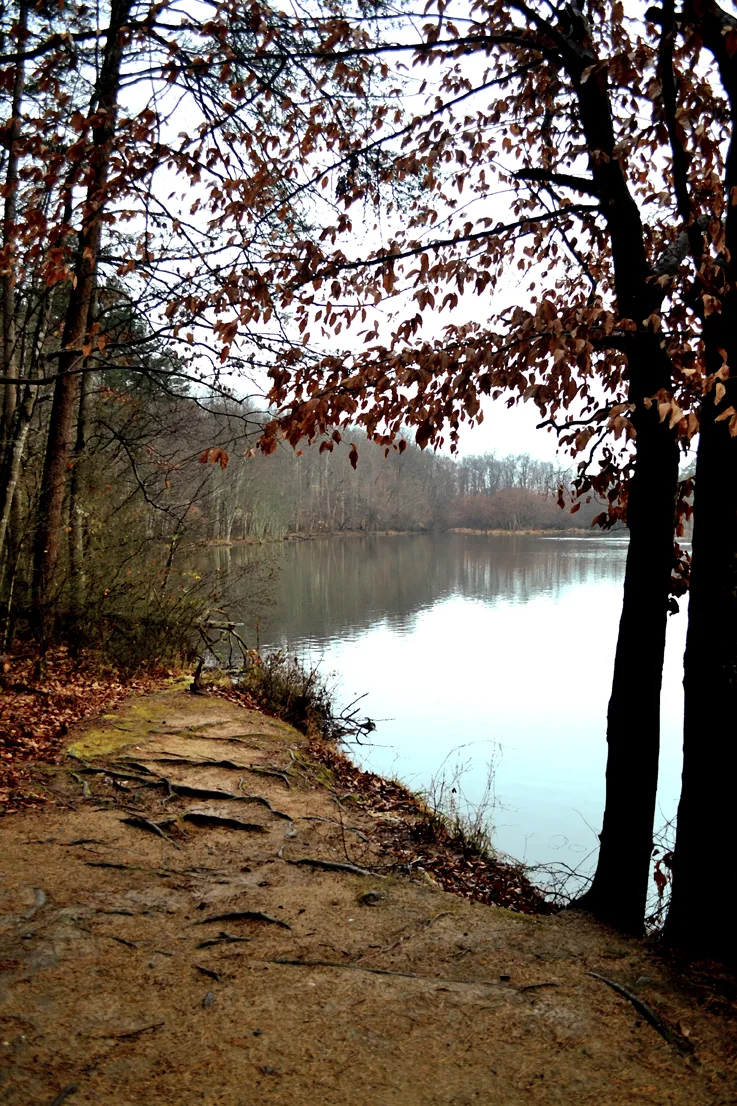 Coriher Park 3