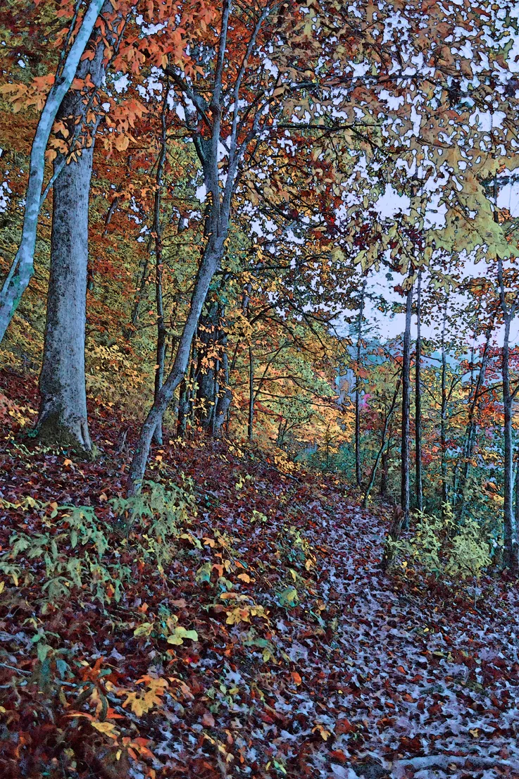 Narrow Trail