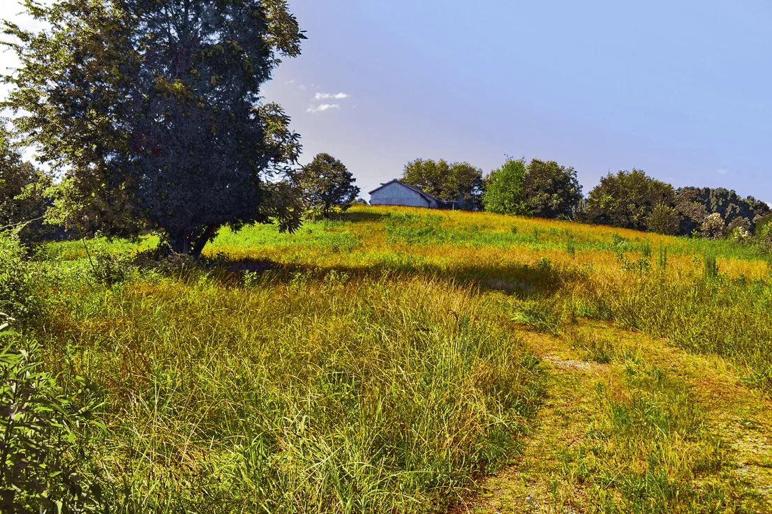 Point Rd Barn