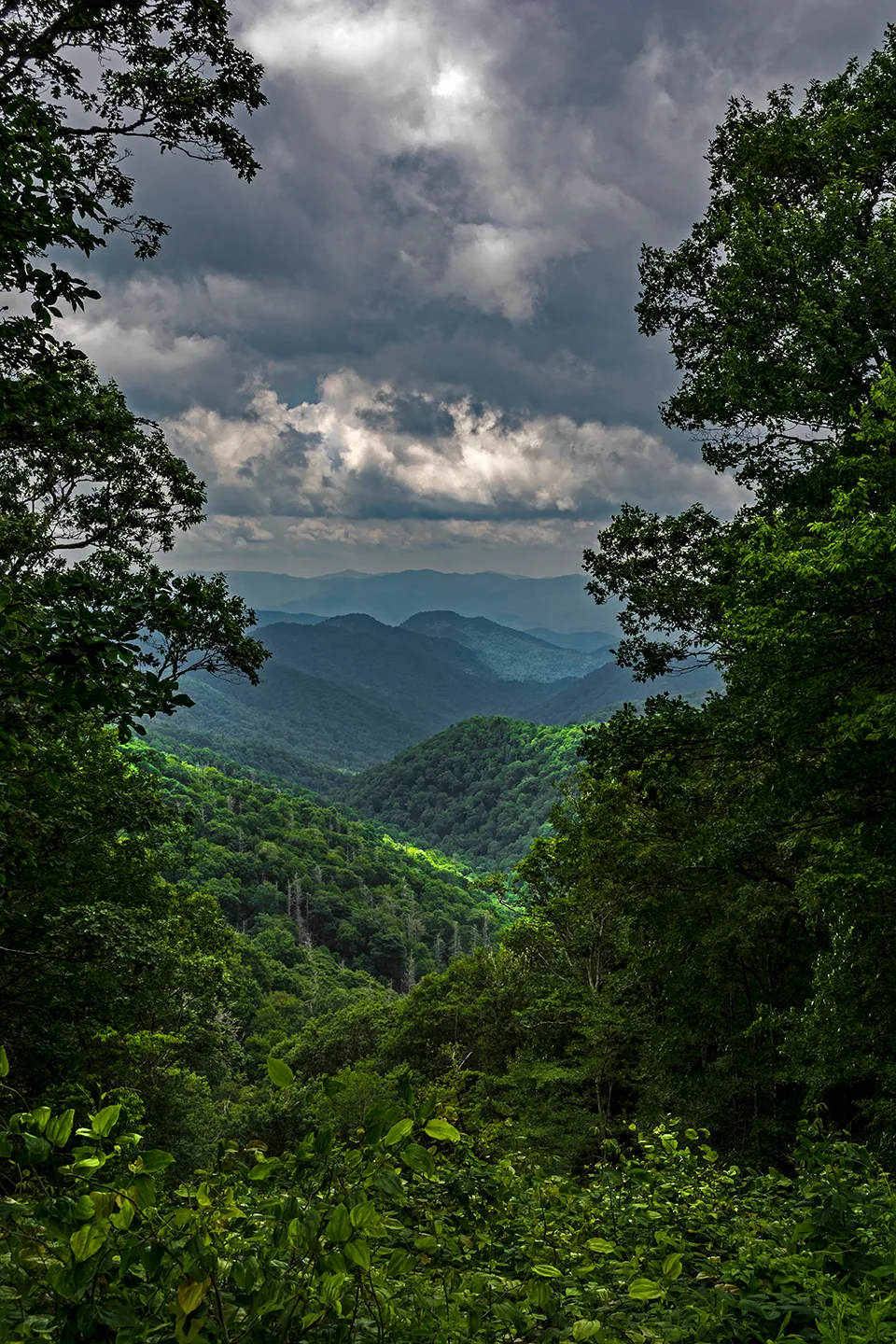 Parkway 2