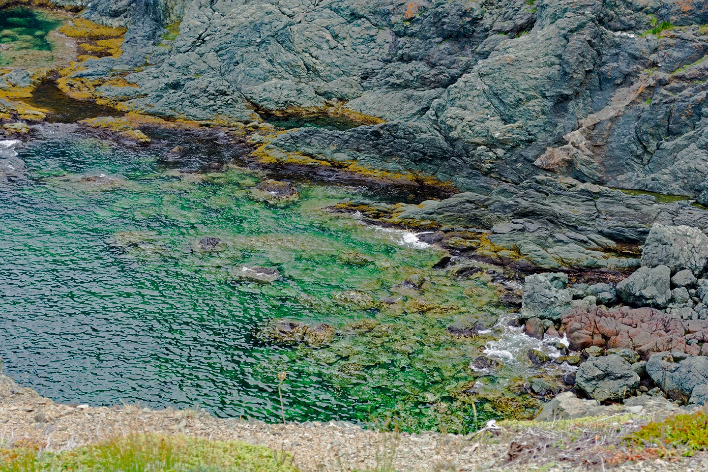 Twillingate 18