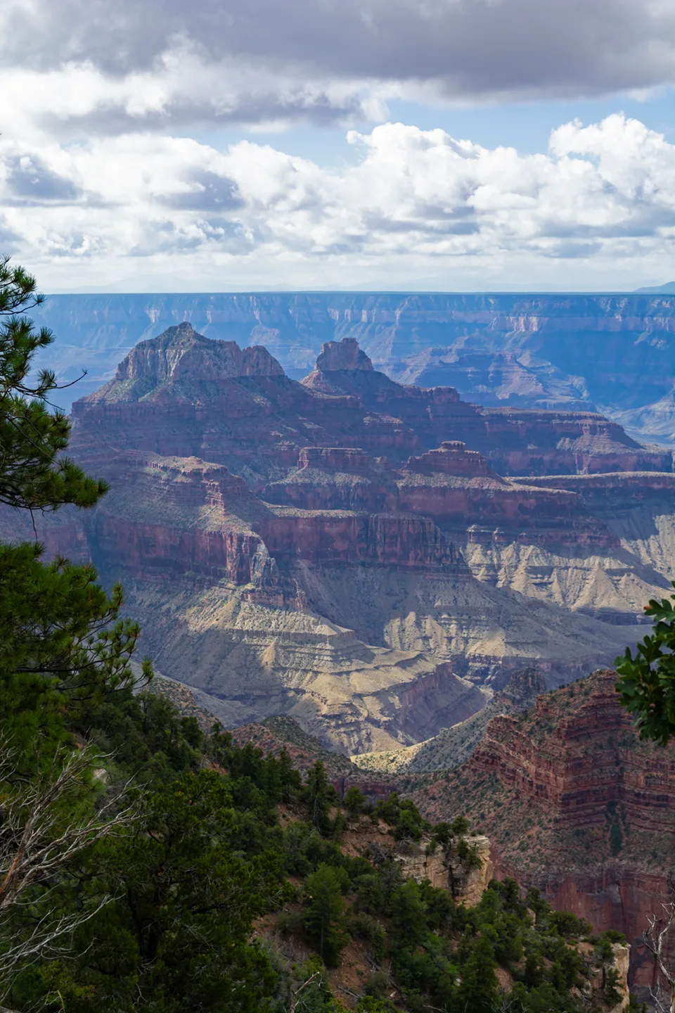 Northrim 24