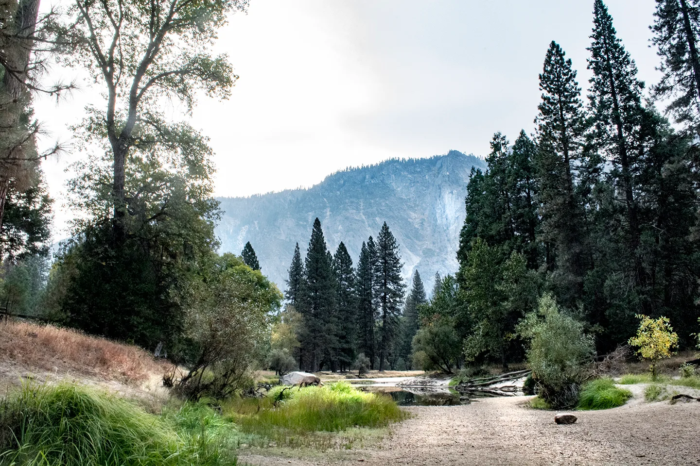 Yosemite 43