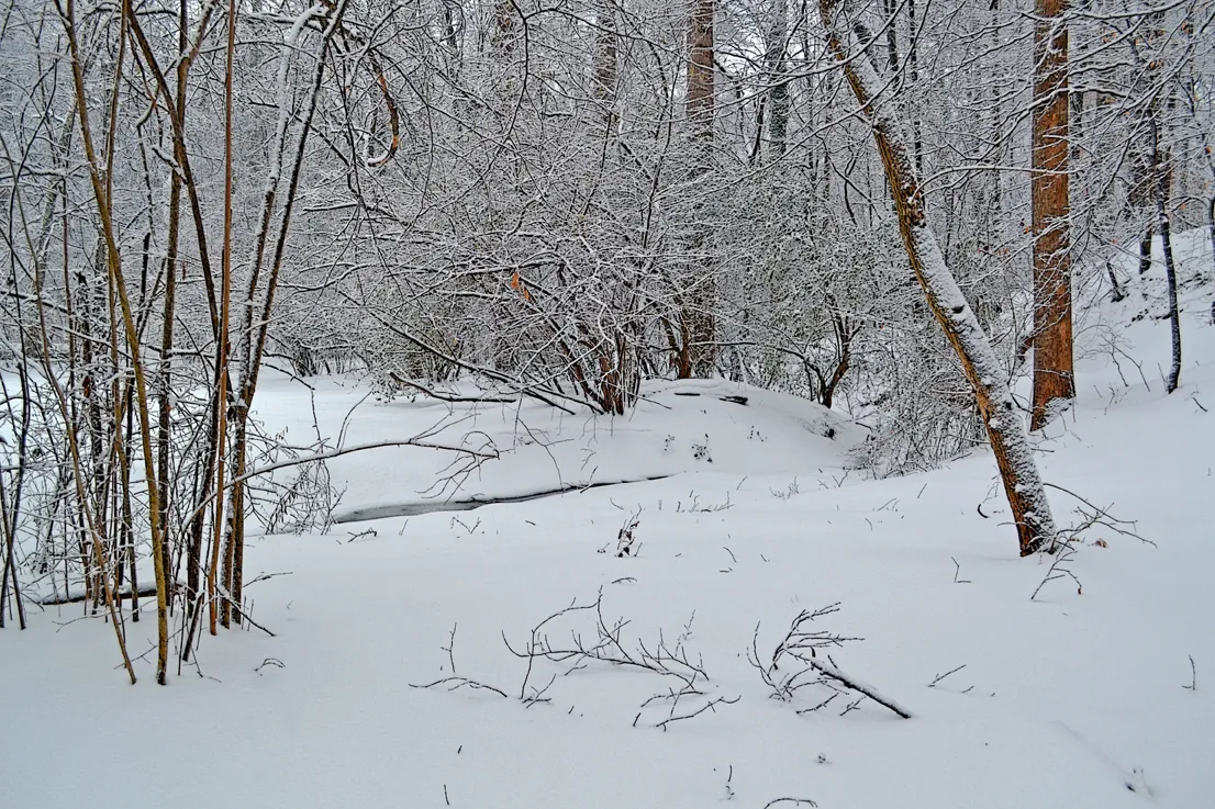 Yard Snow 1